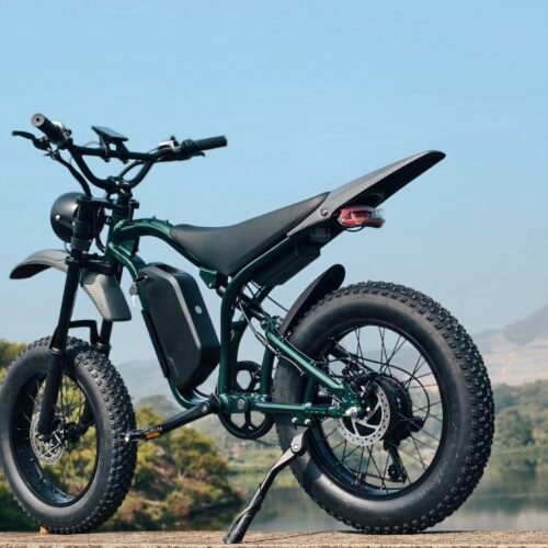 1000W MOTOR electric bike 18.2AH lithium battery Maximum speed 60 KM/H Ebike Electric motorcycle bicycle