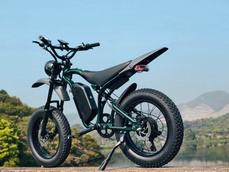 1000W MOTOR electric bike 18.2AH lithium battery Maximum speed 60 KM/H Ebike Electric motorcycle bicycle