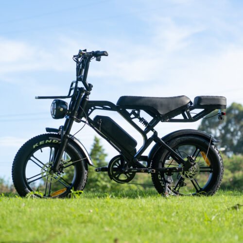 ZYLOYTY V20Pro Tire Electric Bike with Seat, 750W Brushless Motor, 15.6Ah Battery E Bicycle, Pure Electric Mode with A Range Of 40-55KM, Hydraulic Brake, Front And Rear Shock Absorption, for Beaches Travel, Mens Gift for Camping And Hunting