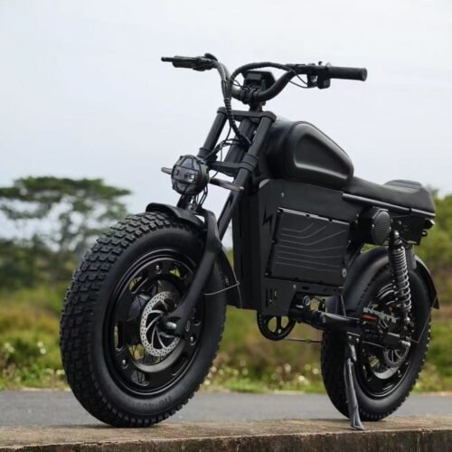 2500W MOTOR electric bicycle Maximum speed 68km/H Range: 120km ebike Electric motorcycle bike
