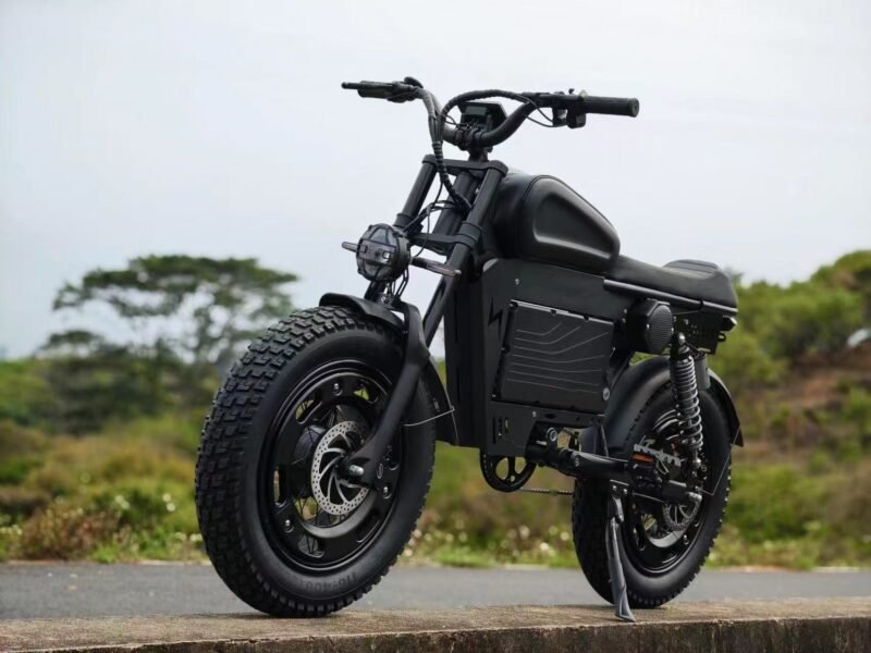 2500W MOTOR electric bicycle Maximum speed 68km/H Range: 120km ebike Electric motorcycle bike